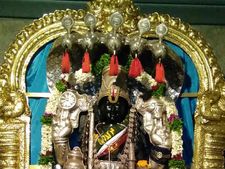 ஸ்ரீதன்வந்திரி ஆலயத்தில் 1008 கலசாபிஷேகத்துடன் சகல தேவதா ஹோமம் 