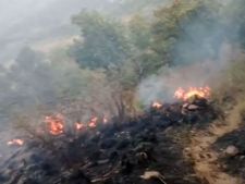 காட்டுத் தீயில் சிக்கிய மாணவிகளை மீட்க கோவையில் இருந்து விமான படை ஹெலிகாப்டர்கள் புறப்பட்டன 