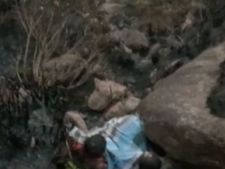 தேனியில் ஒரு வாரமாக எரிந்த காடு.. கண்டுகொள்ளாத அரசு.. 9 பேர் உயிரை பறித்த காட்டு தீ 