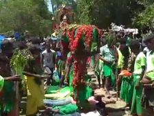பர்கூர் அருகே வனதேவதை திருவிழா.. பச்சை சேலை.. காட்டுமலர்கள், கிழங்குகள் படைத்து வினோத வழிபாடு 