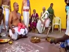 கடலூரில் பரபரப்பு,, பாம்பை வைத்து சிறப்பு பூஜை செய்தவர் கைது,, பாம்பாட்டிக்கு வலைவீச்சு