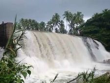 கொட்டித் தீர்த்த கோடை மழை:அணைப்பிள்ளையார் அருவியில் ஆர்ப்பரிக்கும் நீர்..கொட்டகுடி ஆற்றில் வெள்ளம்! 