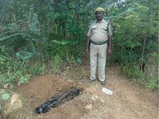 ஈரோடு அருகே விருப்பப்படி பறந்த அழகு மயில்..  மின் கம்பியில் மோதி கிணற்றில் விழுந்து பலி