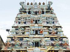 தீராத நோய் தீர்த்து குலம் தழைக்கச் செய்யும் கோவை தண்டு மாரியம்மன்  