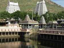 திருவண்ணாமலை அண்ணாமலையார் கோயிலில் முருகன் சிலை சூலம் திருட்டு 