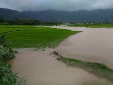 தொடர் மழை, வெள்ளம்.. குமரி, நீலகிரியில் பள்ளி கல்லூரிகளுக்கு விடுமுறை 
