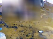 கோவையில் சோகம்: தனிக்குடித்தனத்திற்கு மனைவி அடம்.. கோபத்தில் தீக்குளித்த பாதிரியார்.. குடும்பமே காலி