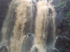 சேலம் கல்வராயன் மலைப்பகுதியில் கனமழை.. ஆனைவாரி அருவியில் காட்டாற்று வெள்ளம்.. 300 பேர் தவிப்பு! 