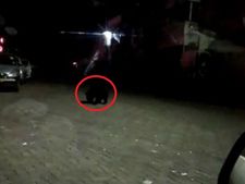 ராத்திரி நேரத்தில் குன்னூரில் கூல் வாக்கிங் போகும் கரடி.. திகிலில் மக்கள்! 