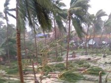 சுனாமிக்கு பின் பெரிய பேரிடர்.. நாகை, அதிராம்பட்டினத்தை சூறையாடிய கஜா புயல்.. பெரும் சேதம்! 