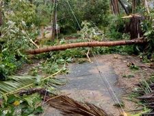 குடிநீர், கரண்ட் இல்லை, உதவி செய்ய யாரும் வரலை.. நிர்க்கதியில் பேராவூரணி!