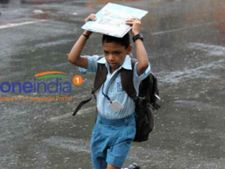 கஜா: நாகை, தஞ்சை, புதுக்கோட்டை, திருவாரூர் பள்ளி, கல்லூரிகளுக்கு இன்று விடுமுறை 