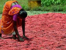 சிவகாசியில் இன்று முதல் பட்டாசு ஆலைகள் காலவரையின்றி மூடல்.. 1 கோடி பேர் வேலை இழக்கும் அபாயம் 