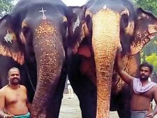என்னது.. ஆண்டாள் நெற்றியில் சிலுவையா.. ஷாக் ஆன ராஜேஷ்.. கிராபிக்ஸ் கிளப்பிய பீதி 