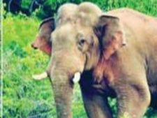 2 நாள்தான் டைம்.. ஆனால் இஷ்டத்துக்கு ஆட்டம் போட்டு கொண்டிருக்கும் சின்னத்தம்பி! 
