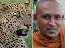 கண்ணை மூடி தவம்.. கடித்து குதறிய சிறுத்தை.. துறவியின் பரிதாப முடிவு 