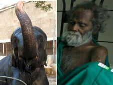 ருக்குவும் மூக்குப்பொடி சித்தரும் அடுத்தடுத்து மரணம்.. திருவண்ணாமலையில் தொடரும் சோகம்