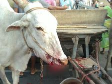 விழுப்புரம் அருகே திடீர் துப்பாக்கிச் சூடு... கிராம மக்கள் சாலை மறியல்... பதற்றம் 