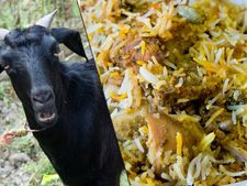 200 ஆடுகள் பிரியாணிக்கு ரெடியா இருக்கு... வந்து சேருங்க மக்கா! எங்கே தெரியுமா? 