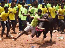 அலங்காநல்லூர் ஜல்லிக்கட்டு.. கூட்ட நெரிசலில் சிக்கி ஒருவர் பலி.. மாரடைப்பில் இன்னொருவர் மரணம்! 