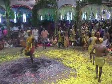 3 டன் விறகுகளை எரித்து உருவான பூக்குழி.. பய பக்தியோடு இறங்கிய பக்தர்கள்.. நெல்லை அருகே பரவசம் 