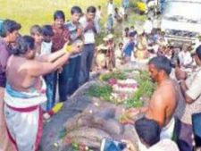 திருவண்ணாமலை எல்லையை தொட்ட பெருமாள் சிலை.. கலெக்டர் தண்ணீர் ஊற்றி வழிபாடு 