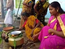 கஜா பாதிப்பிலும் பாரம்பரியம் மறவாமல் பொங்கல் விழா.. தன்னம்பிக்கை தந்த திருவாரூர் மக்கள் 