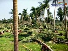 கஜா புயலுக்கு வழங்கப்பட்ட நிவாரணத்தை வங்கி கடனுக்கு வரவு வைத்ததாக விவசாயி புகார் 
