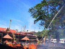 சபரிமலையில் திடீர் பரபரப்பு... ஆலமரம் தீப்பிடித்து எரிந்தது... பக்தர்கள் அச்சம் 