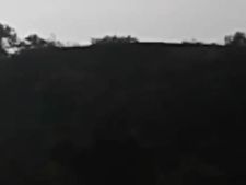 ஏய்.. ரெண்டுய்யா.. ஆஹா.. விளையாடுதய்யா.. குற்றாலத்தைக் கலக்கிய சிறுத்தைகள்