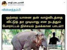 வாழ்விடத்தை விட்டு தர முடியாது.. ஒற்றை யானை நடத்தும் போராட்டம்.. ஒரு பாடம்.. நெட்டிசன்கள் பஞ்ச்! 