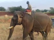 சின்னத்தம்பியை சீக்கிரம் பிடியுங்கள்..  விவசாயிகள் திடீர் போராட்டம்..ஏன், என்னாச்சு? 