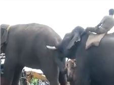 அழ வச்சுட்டியேடா செல்லத் தம்பி.. லாரியில் ஏற்றப்பட்டான் சின்னத்தம்பி.. வரகளியாறு செல்கிறான்! 