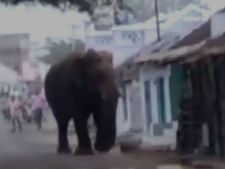 மக்களுக்கு பாதுகாப்பு 'இல்லாத' இடத்தில் 'சின்னத்தம்பி' விடப்படும்.. அமைச்சர் என்ன சொல்றார் புரியுதா?