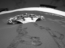 Opportunity Rover: முடிந்தது சகாப்தம்.. ரோவரை தாக்கிய செவ்வாய் புயல்.. விடைபெறும் ஆப்பர்ச்சுனிட்டி! 