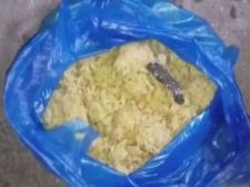 மகாராஷ்டிரா அரசுப் பள்ளி மதிய உணவில் பாம்பு..  குழு அமைத்து விசாரணை!