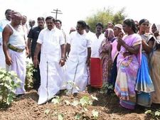 நான் விவசாயிகளின் நண்பனான மண்புழு.. ஆனால் ஸ்டாலின் பயிரை அழிக்கும் வைரஸ்- முதல்வர் 