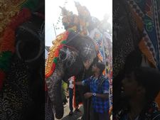  உடம்பு சரியில்லாமல் இறந்து போனது வள்ளி.. பெரும் சோகத்தில் இலஞ்சி மக்கள்