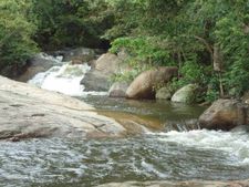 மேற்குதொடர்ச்சி மலைப்பகுதியில் மழை எதிரொலி..வெள்ளப்பெருக்கால் கும்பக்கரை அருவிக்கு செல்ல தடை 