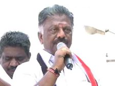 ஜல்லிக்கட்டுக்கான தடையை நீக்குவதற்கு மோடி தான் மூல காரணம்.. ஓபிஎஸ் பிரச்சாரம் 