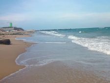 ராமநாதபுரம் கடல் பகுதியில் தீவிர ரோந்து பணி... 24 மணி நேரமும் கண்காணிப்பு 