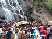 சிலு சிலு சிலு காத்து.. மிதமான நீர்வரத்து.. களை கட்டும் குற்றாலம்.. குவியும் சுற்றுலா பயணிகள்