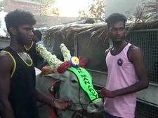 ‘ஒன் மேன் ஆர்மிக்கு‘ சீமந்தம்: பிரியாணி விருந்து.. ஆச்சரியத்தில் மூழ்கிய மக்கள்.. வேலூரில் ருசிகரம்!