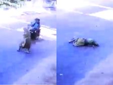 மின்னல் வேகத்தில் வந்த பைக்.. நடு ரோட்டில் பலியான மூதாட்டி.. நாகர்கோவிலில் பரபரப்பு சம்பவம்