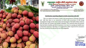 மூளைக் காய்ச்சலால் குழந்தைகள் இறப்புக்கும் லிச்சி பழத்திற்கும் தொடர்பில்லை.. பீகாரில் ஆய்வில் தகவல் 