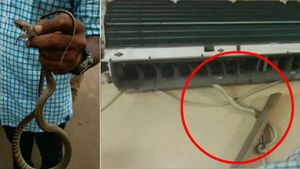 ஏழுமலை வீட்டு ஏசியில்.. 3 மாசமா ஓசியில் டேரா போட்ட மிஸ்டர் சாரை! 