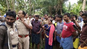  மக்னா யானையின் தொடர் மனித வேட்டையும் - மாவட்ட வனத்துறையின் கும்கி சர்க்கஸும்