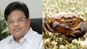 அணை உடைப்புக்கு நண்டுகள்தான் காரணம்.. அமைச்சர் பேச்சு.. நண்டுகளை கைது செய்ய கோரும் எதிர்க்கட்சிகள்! 