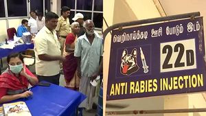 ரோட்டில் சென்ற 30-க்கும் மேற்பட்டவர்களை கடித்து குதறிய வெறிநாய்.. புதுவையில் பரபரப்பு