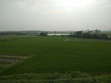 தமிழகம் முழுவதும் பரவலாக நல்ல மழை... வறண்ட நீர் நிலைகளை நோக்கி பாய்கிறது மழை நீர் 